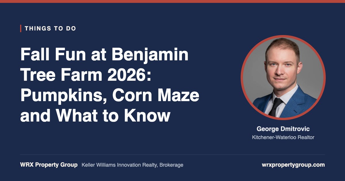 Fall Fun at Benjamin Tree Farm 2026: Pumpkins, Corn Maze and What to Know